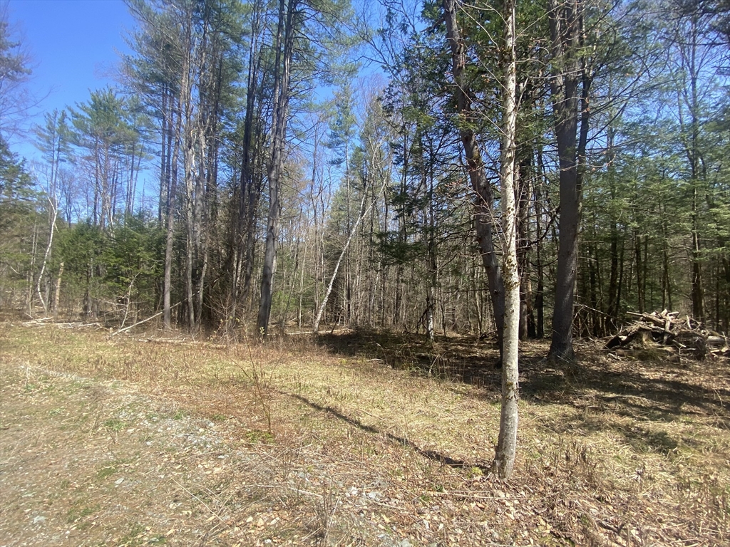 0 Schaefer Way Charlemont, MA 01339 - Photo 10 of 16 a backyard of a house with lots of green space