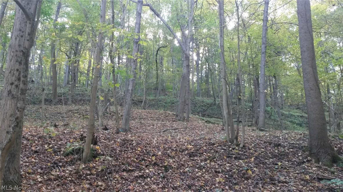 Tarr Run Road Bellaire, OH 43906 - Photo 1 of 6 Gallery Image 1