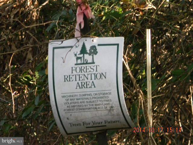 6602 Harmony Road Preston, MD 21655 - Photo 16 of 16 Forest Retention Area