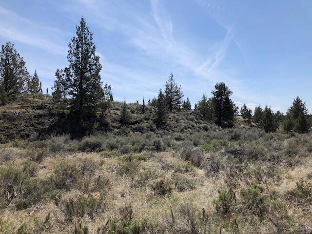 16825 Southwest Quail Road Terrebonne, OR 97760 - Photo 1 of 12 View of the property from the street