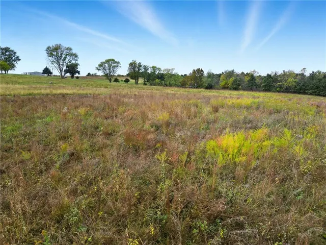 $1,050,000 | 40298 East 208th Street, Polo, MO 64671