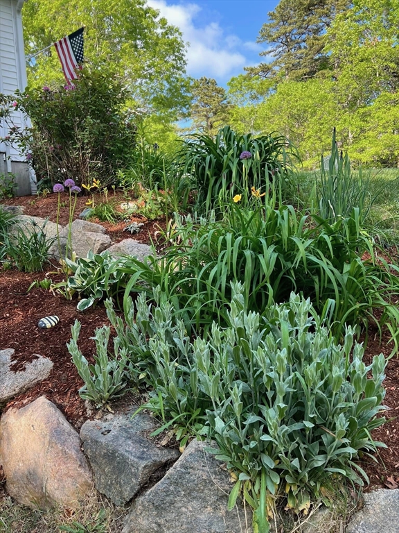 16 Balfour Lane Mashpee, MA 02649 - Photo 31 of 32 a view of a garden with a tree