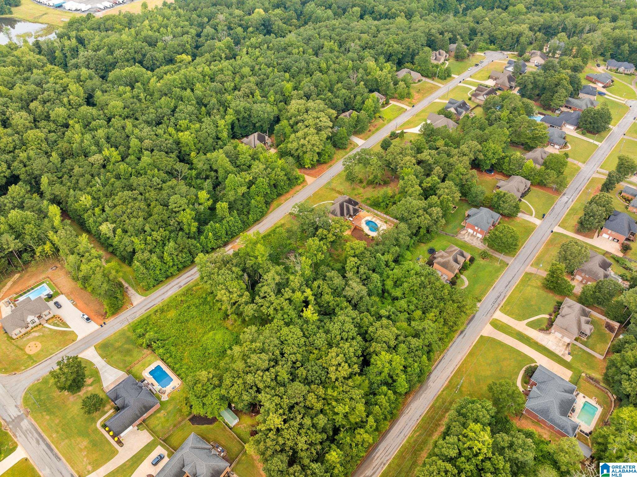60 Highland View Drive Riverside, AL 35135 - Photo 71 of 77