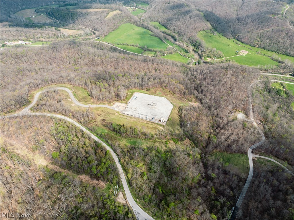 East Captina Highway Road Alledonia, OH 43902 - Photo 11 of 12