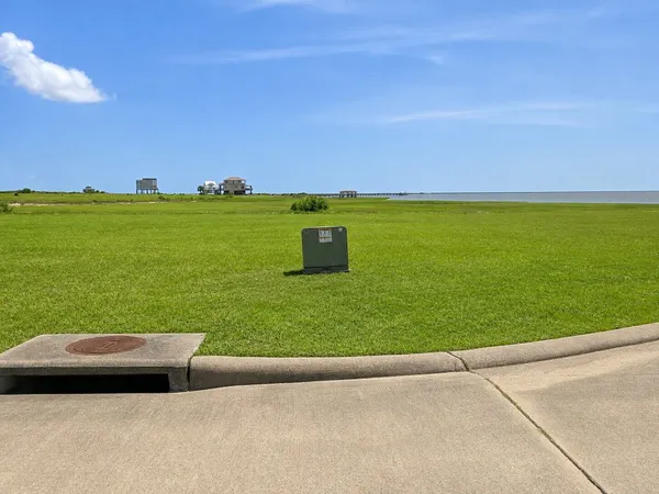 a view of a field of an ocean