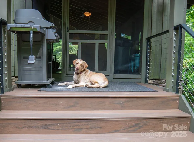 a view of a door front of a house