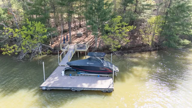 a view of a tree in a yard