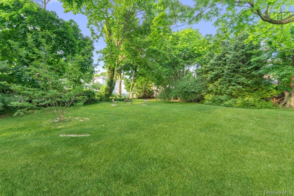 195 South Middle Neck Road, Unit 1F Great Neck, NY 11021 - Photo 12 of 14 Outdoor Green Space