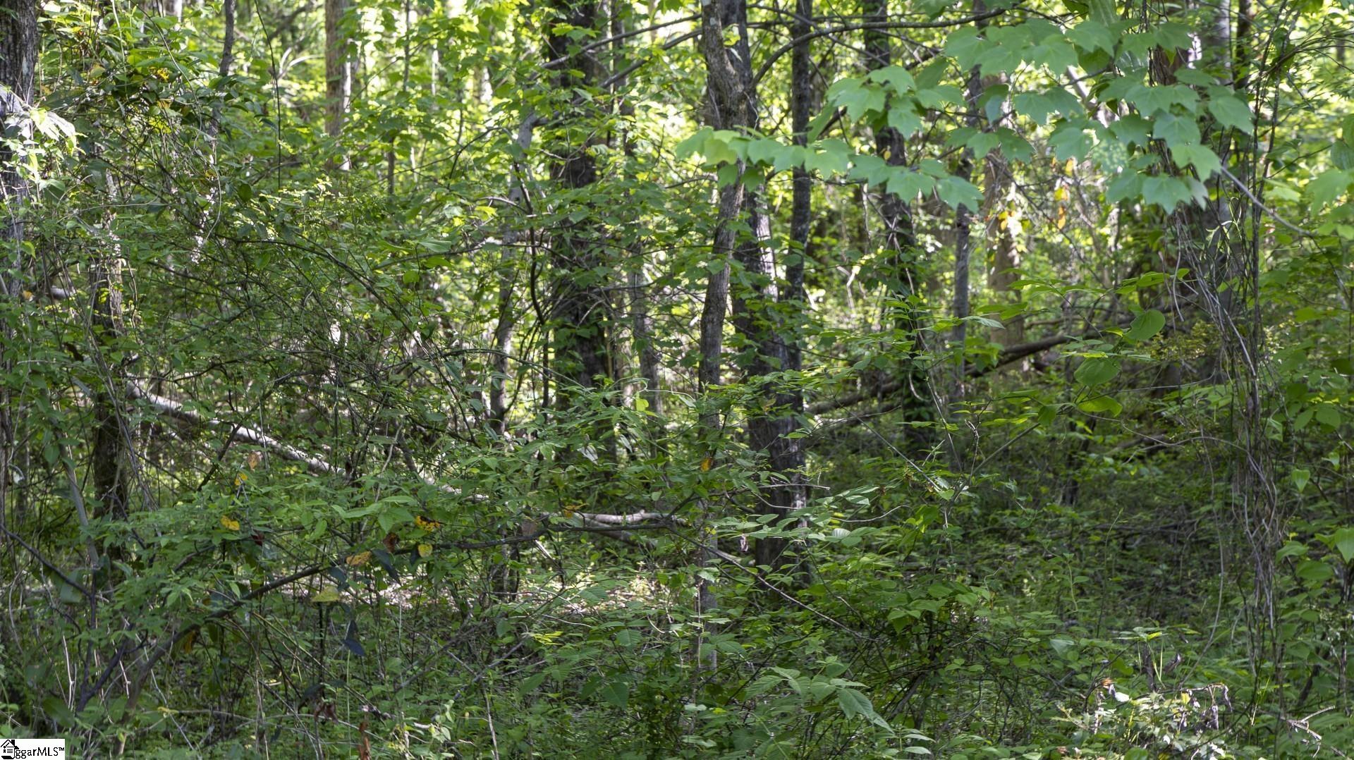 0 Botany Slopes Road Piedmont, SC 29673 - Photo 11 of 44
