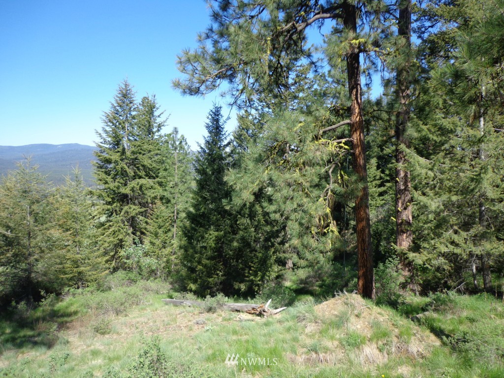 180 Redmond Road Republic, WA 99166 - Photo 10 of 15 Gallery Image 10