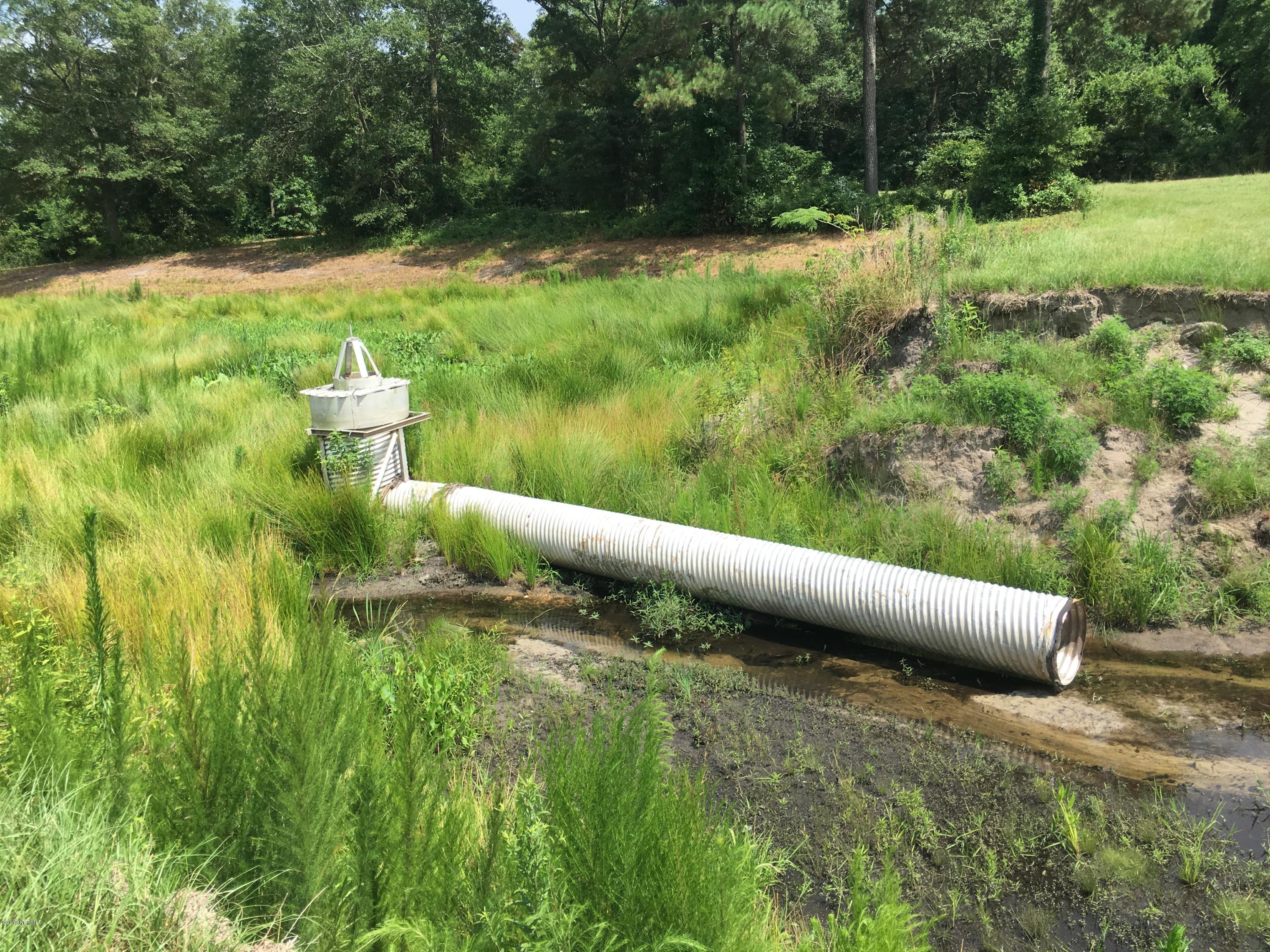 1386 Tram Road Mount Olive, NC 28365 - Photo 8 of 19 Part of existing spill way
