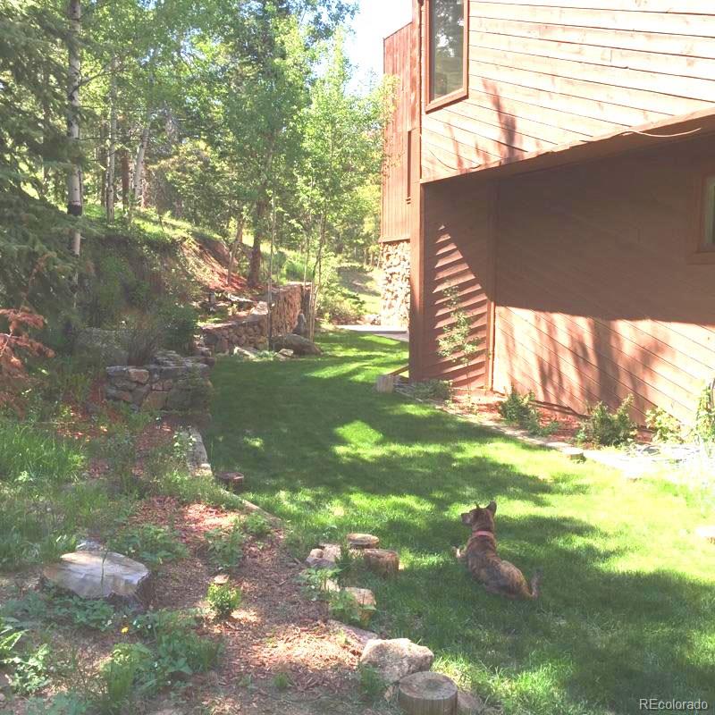 34647 Squaw Pass Road Evergreen, CO 80439 - Photo 34 of 35 Gallery Image 34