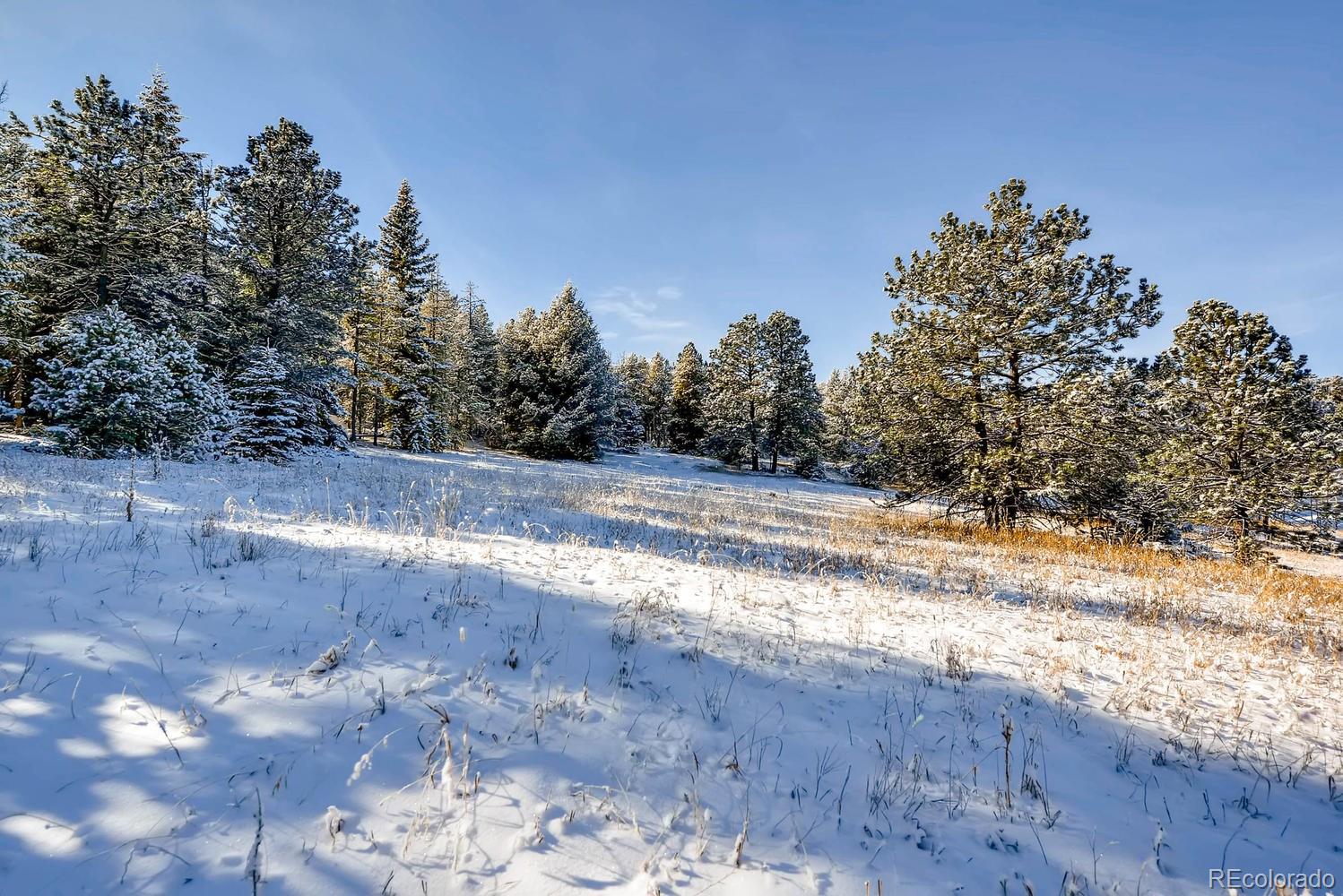 34647 Squaw Pass Road Evergreen, CO 80439 - Photo 6 of 35 Gallery Image 6