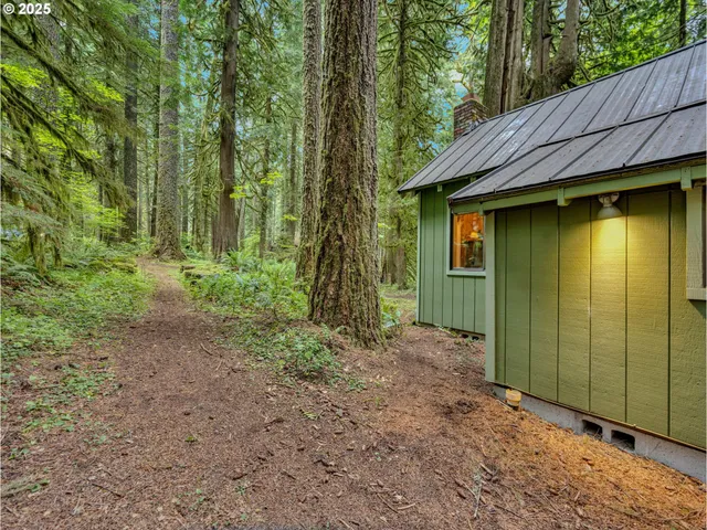 a backyard of a house with lots of green space