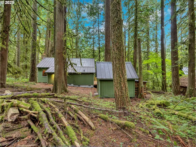 a house view with a backyard space