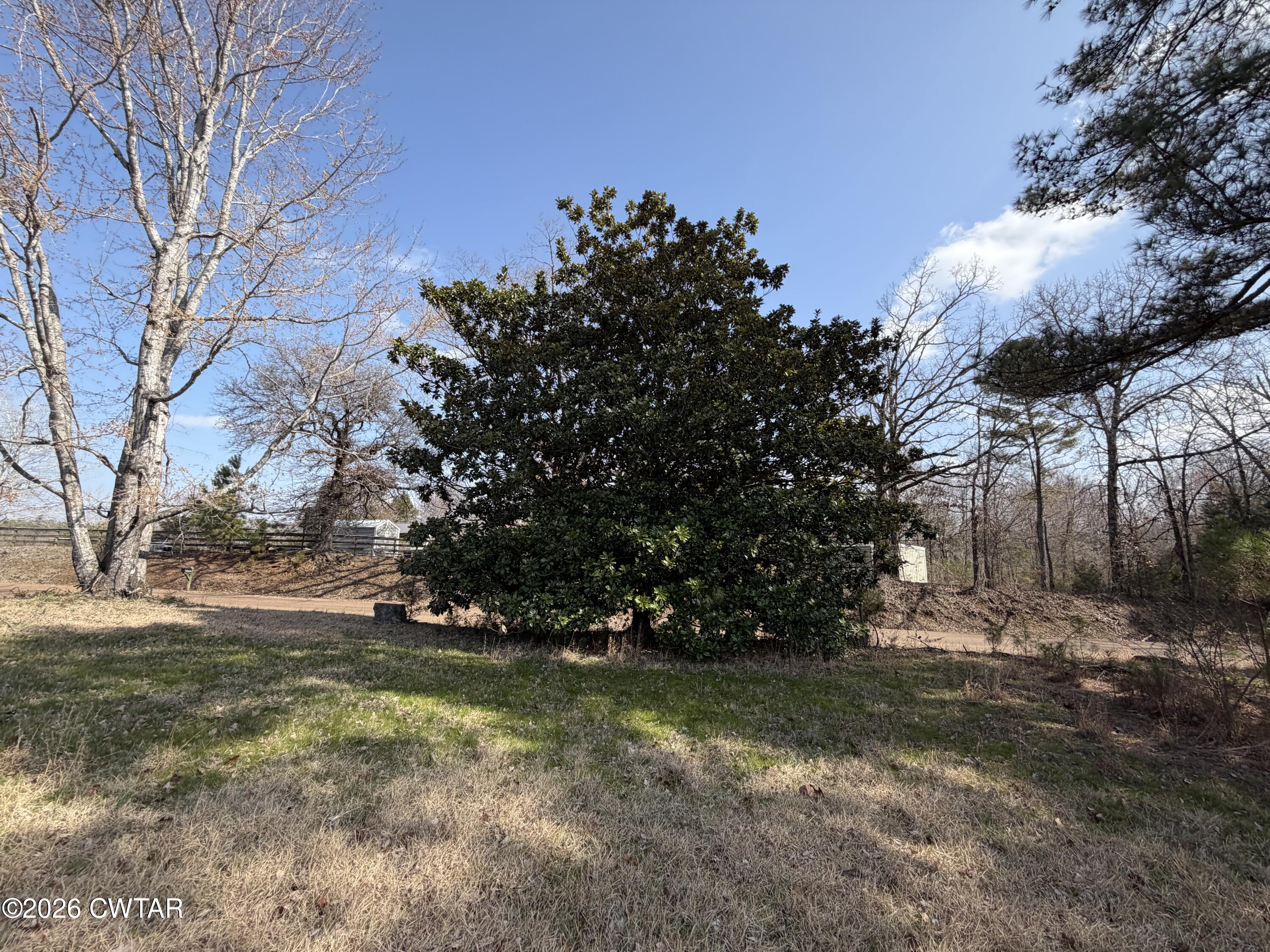 13835 Old Jackson Road Whiteville, TN 38075 - Photo 4 of 27 a view of yard