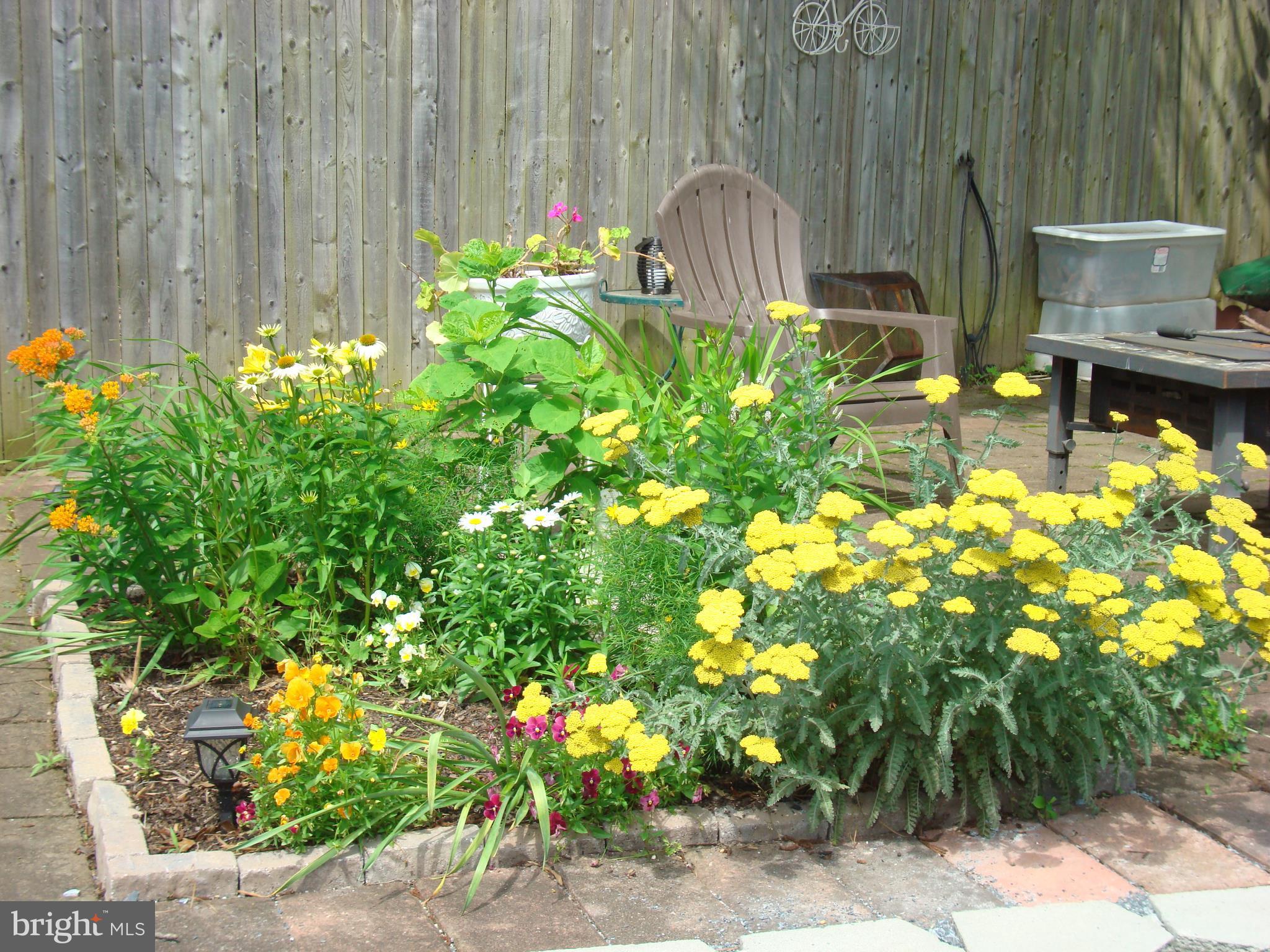 9507 Atom Road Clinton, MD 20735 - Photo 22 of 27 Beautiful Perennials