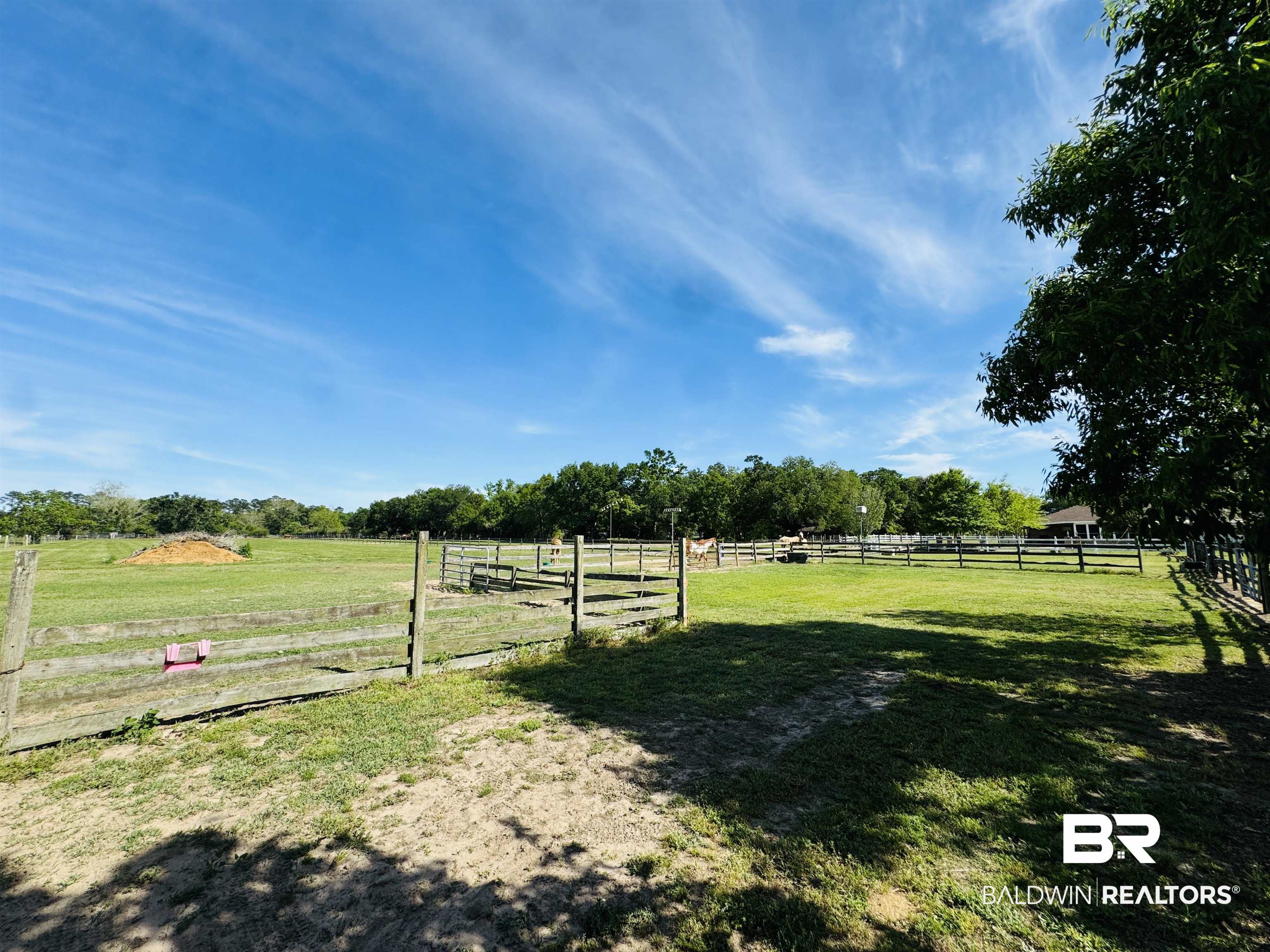 13795 White Road Silverhill, AL 36576 - Photo 68 of 99 View of yard with a view of rural / pastoral area