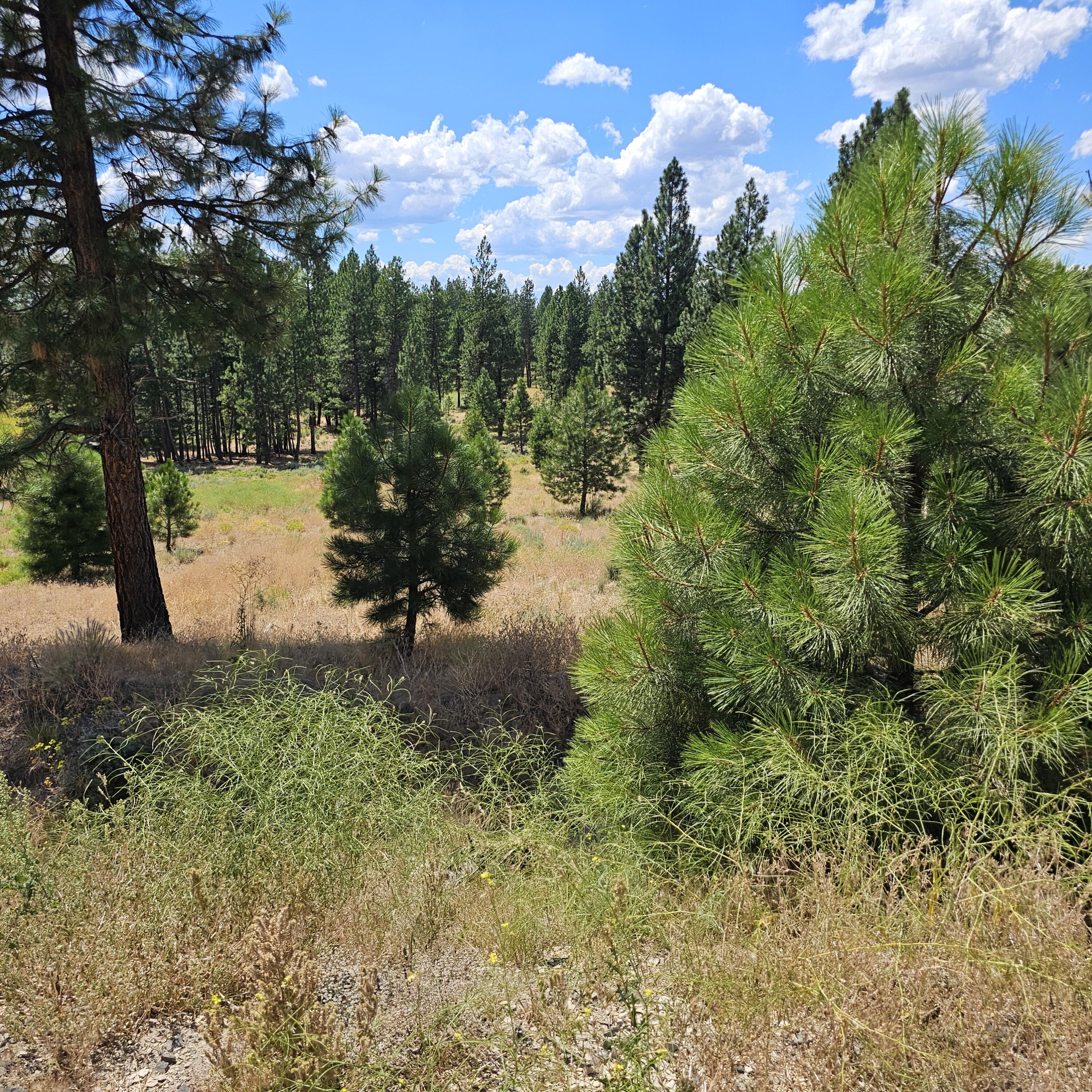 33005 Godowa Springs Road Beatty, OR 97621 - Photo 29 of 36 20250728_142408