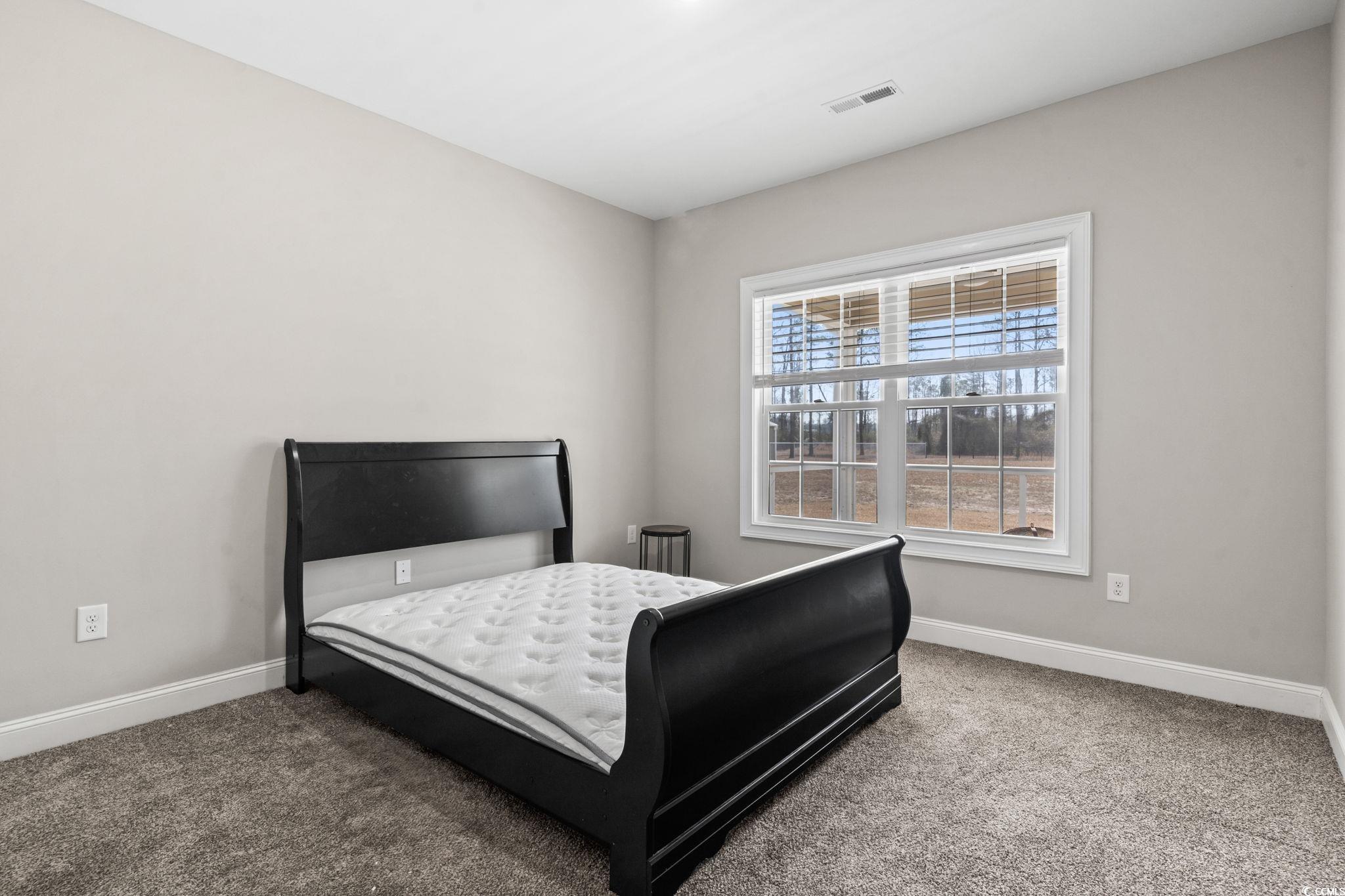 10015 West Highway 19 Loris, SC 29569 - Photo 11 of 40 Bedroom with carpet, visible vents, and baseboards