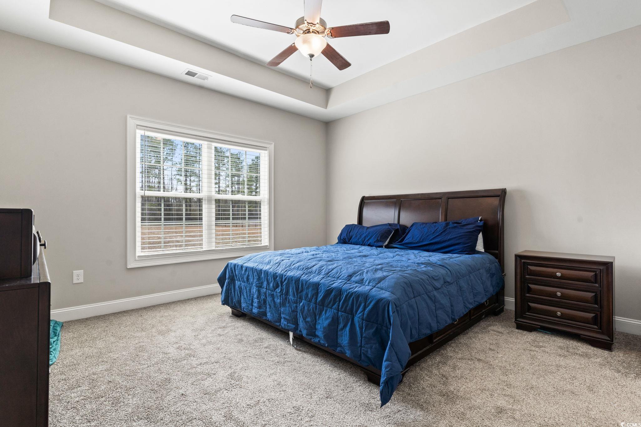 10015 West Highway 19 Loris, SC 29569 - Photo 2 of 40 Carpeted bedroom with a ceiling fan, a raised ceil