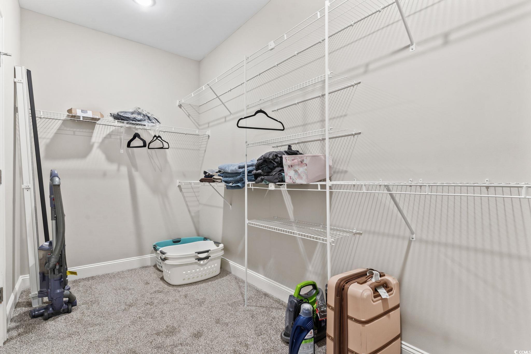 10015 West Highway 19 Loris, SC 29569 - Photo 8 of 40 Walk in closet featuring carpet floors