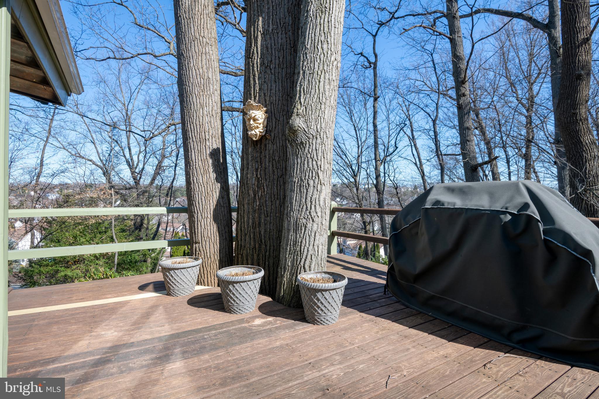 821 Dorsea Road Lancaster, PA 17601 - Photo 54 of 71 Deck #2