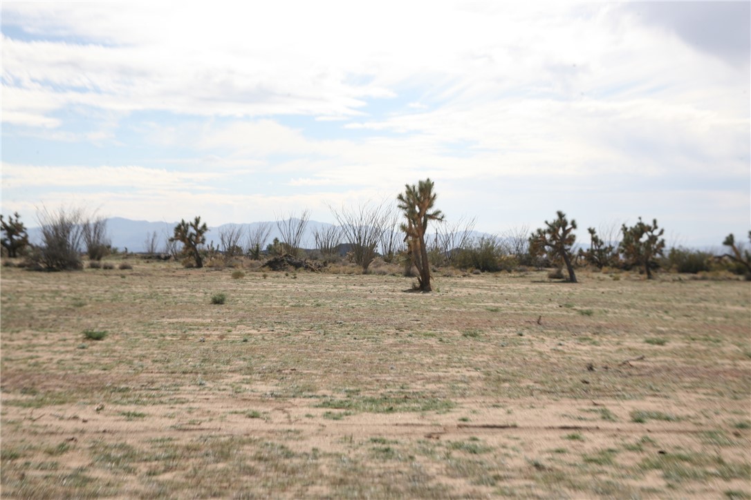 Lot G1 Alvis Road Yucca, AZ 86438 - Photo 18 of 60 Other