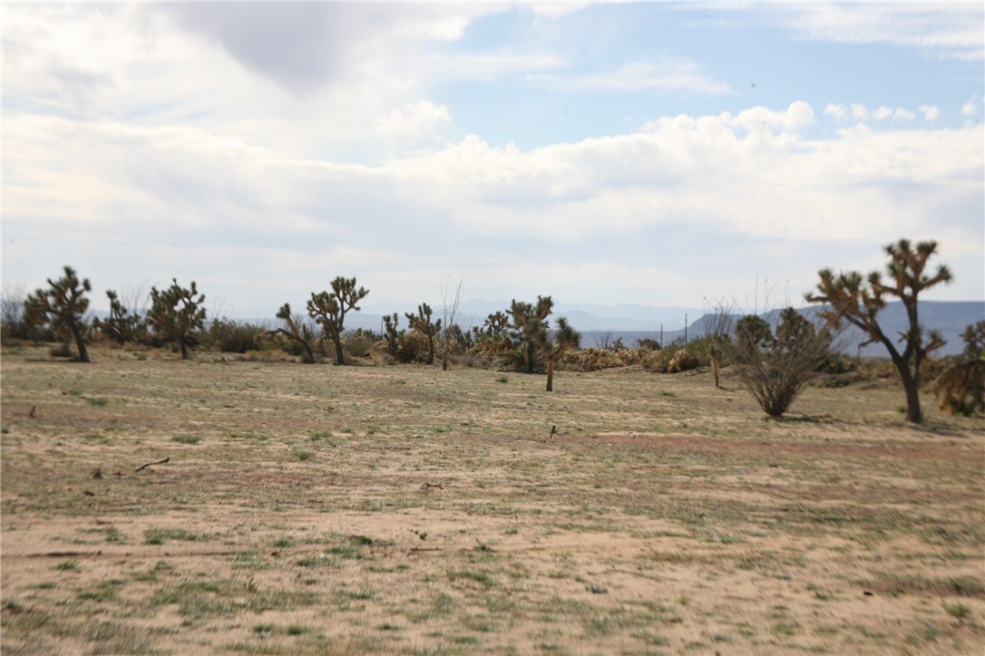 Lot G1 Alvis Road Yucca, AZ 86438 - Photo 19 of 60 Yard
