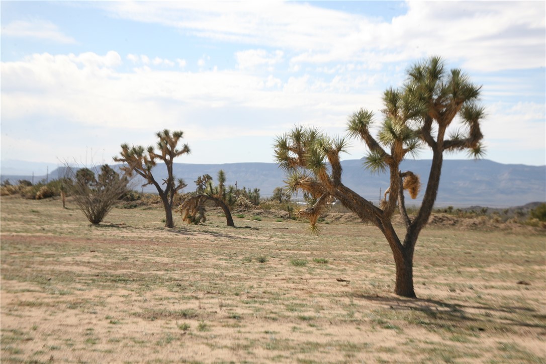 Lot G1 Alvis Road Yucca, AZ 86438 - Photo 20 of 60 View