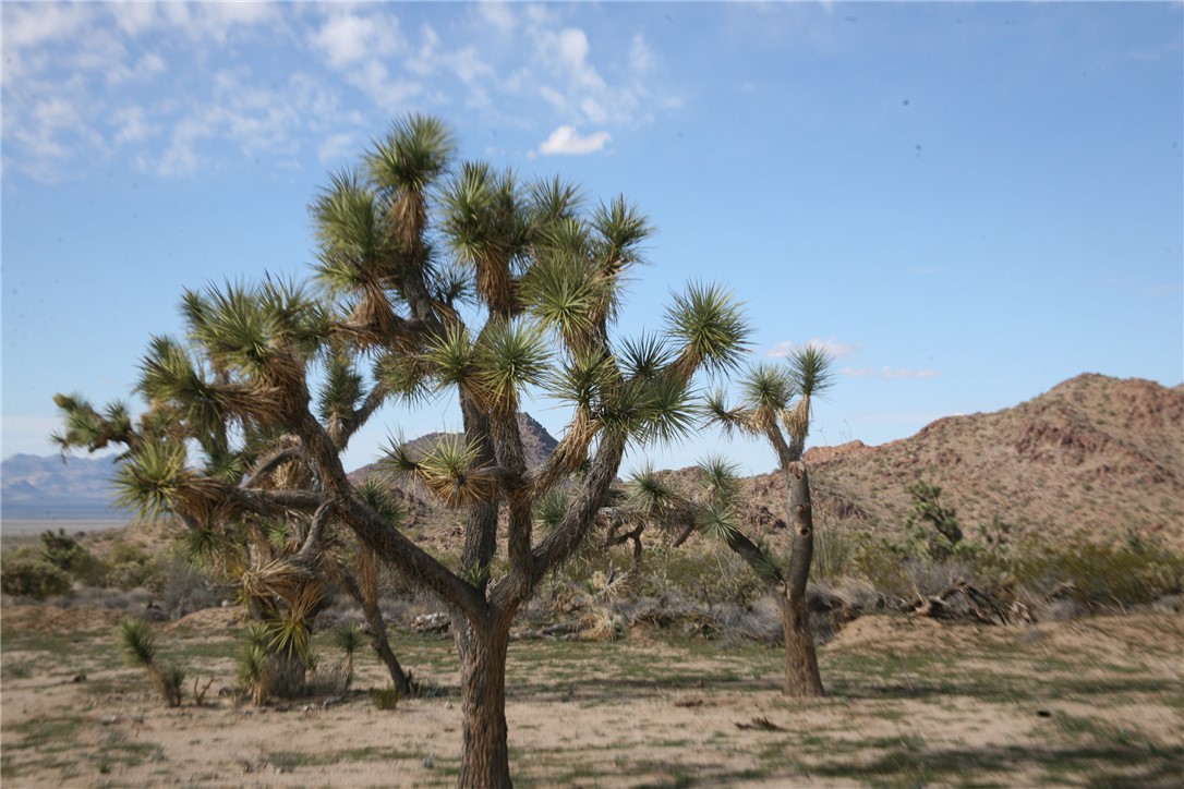 Lot G1 Alvis Road Yucca, AZ 86438 - Photo 25 of 60 Other