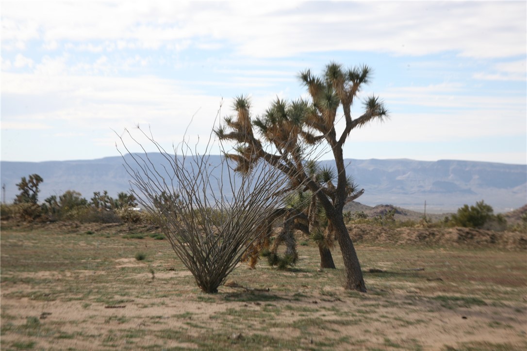 Lot G1 Alvis Road Yucca, AZ 86438 - Photo 26 of 60 View