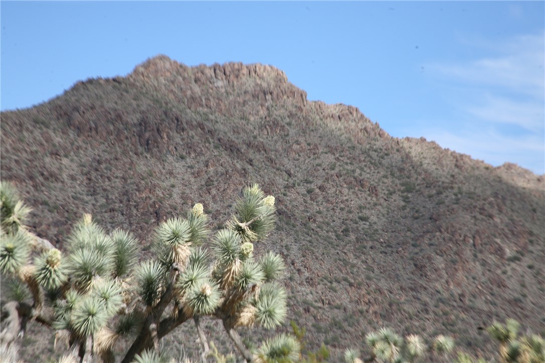 Lot G1 Alvis Road Yucca, AZ 86438 - Photo 28 of 60 View
