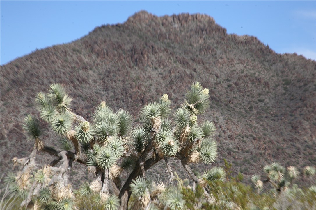 Lot G1 Alvis Road Yucca, AZ 86438 - Photo 29 of 60 View