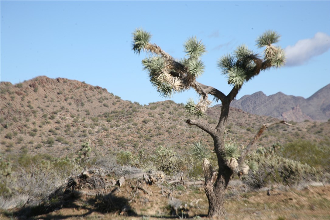 Lot G1 Alvis Road Yucca, AZ 86438 - Photo 38 of 60 View