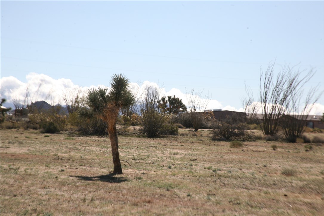 Lot G1 Alvis Road Yucca, AZ 86438 - Photo 48 of 60 Yard