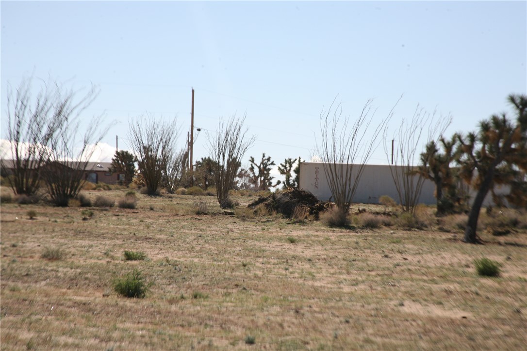 Lot G1 Alvis Road Yucca, AZ 86438 - Photo 49 of 60 Yard