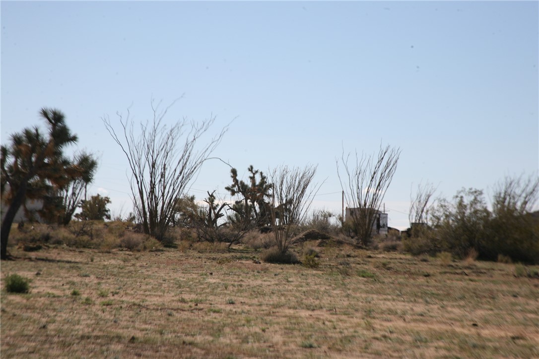 Lot G1 Alvis Road Yucca, AZ 86438 - Photo 50 of 60 Yard