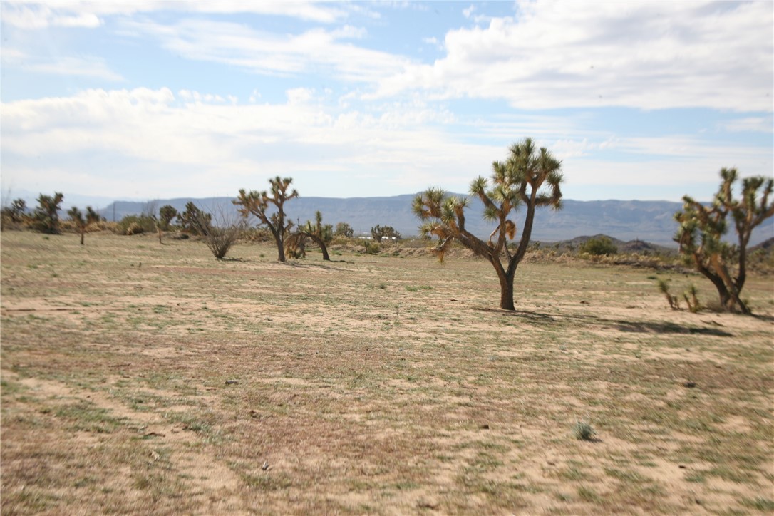 Lot G1 Alvis Road Yucca, AZ 86438 - Photo 5 of 60 Yard