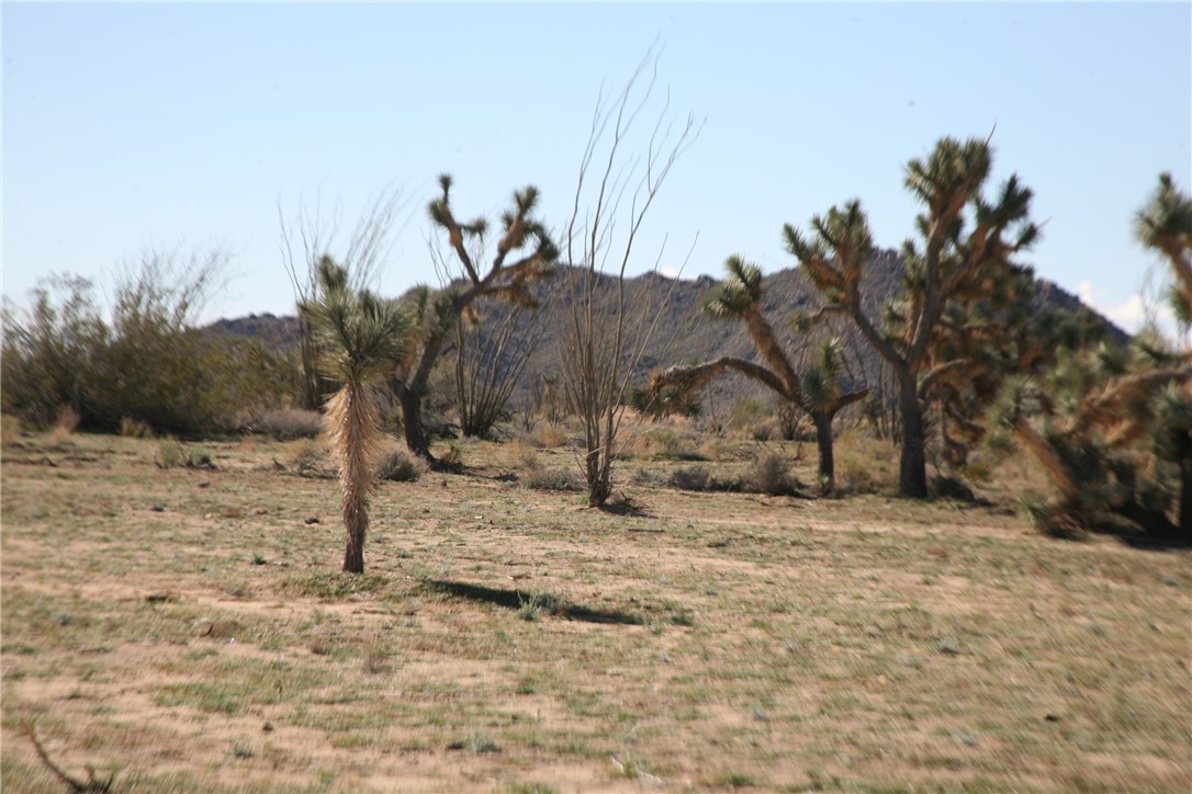 Lot G1 Alvis Road Yucca, AZ 86438 - Photo 51 of 60 View