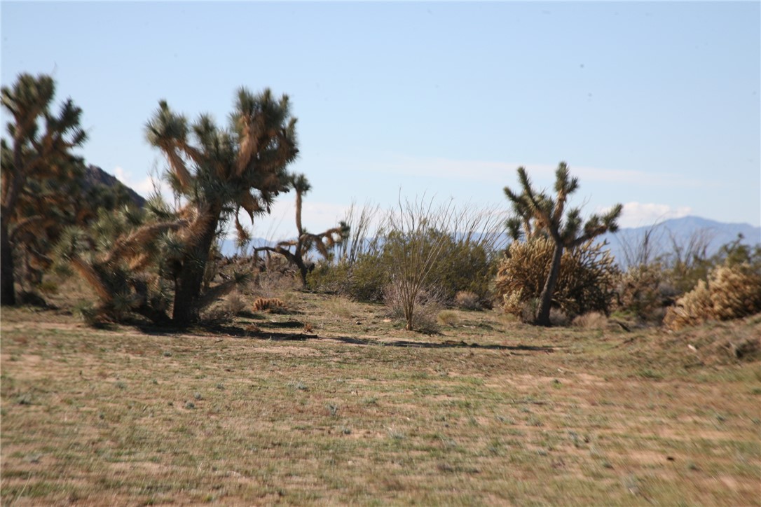 Lot G1 Alvis Road Yucca, AZ 86438 - Photo 52 of 60 Other