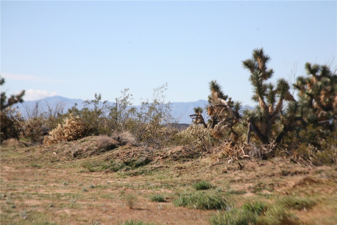 Lot G1 Alvis Road Yucca, AZ 86438 - Photo 53 of 60 View