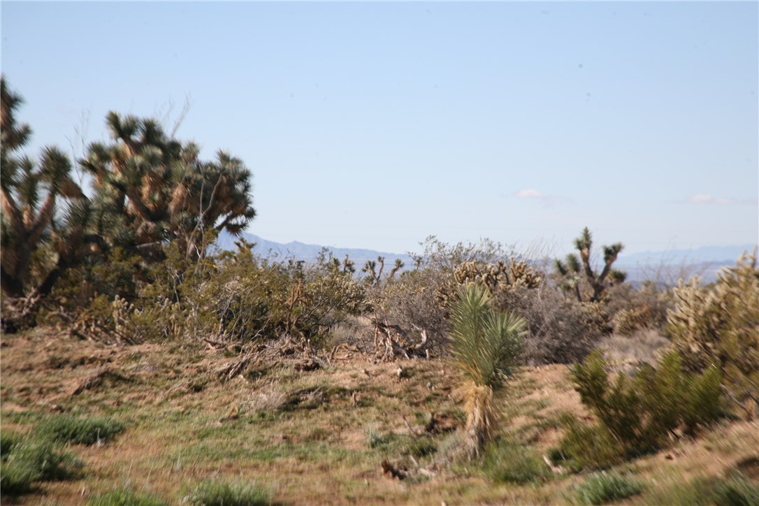 Lot G1 Alvis Road Yucca, AZ 86438 - Photo 54 of 60 Other