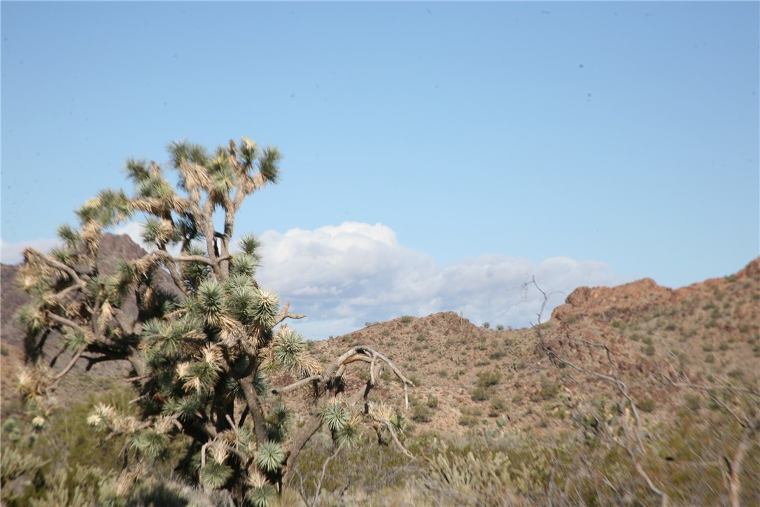 Lot G1 Alvis Road Yucca, AZ 86438 - Photo 59 of 60 View