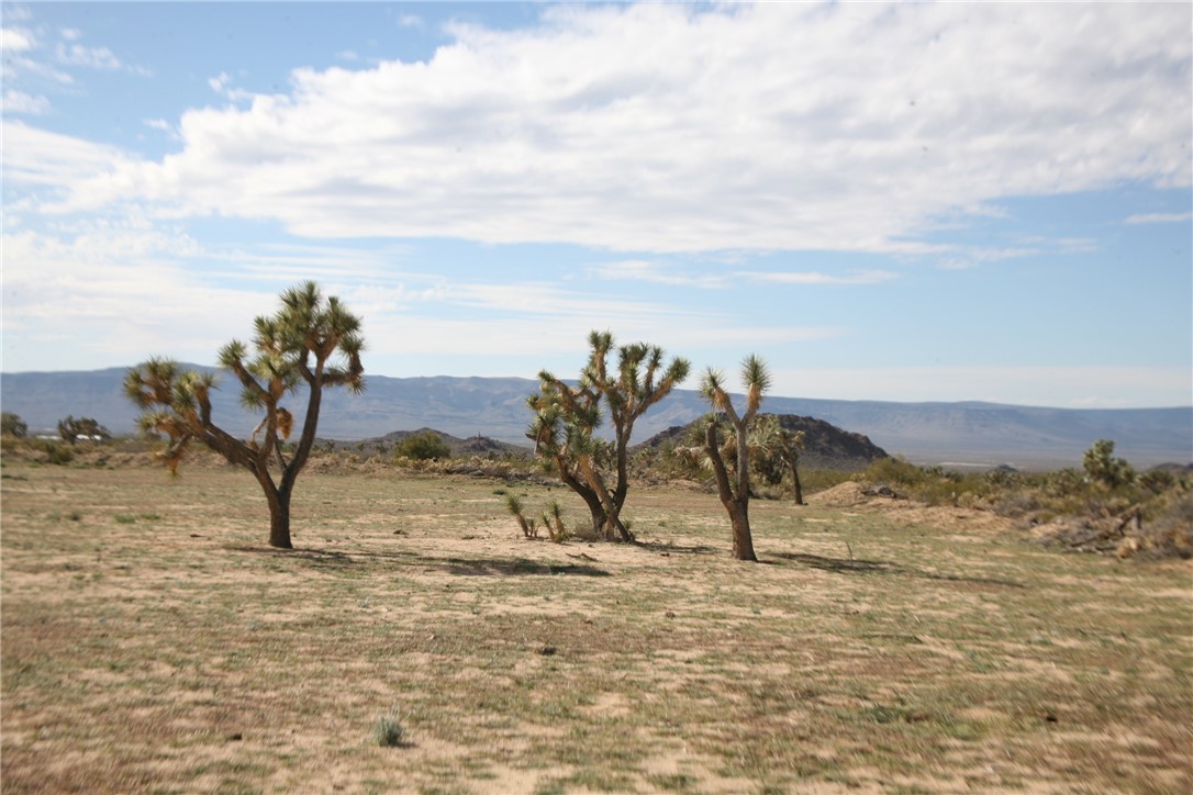 Lot G1 Alvis Road Yucca, AZ 86438 - Photo 6 of 60 View