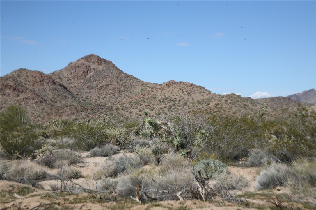 Lot G1 Alvis Road Yucca, AZ 86438 - Photo 10 of 60 View