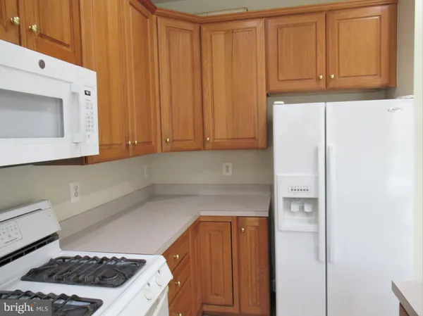 a kitchen with stainless steel appliances wooden cabinets a sink and a window