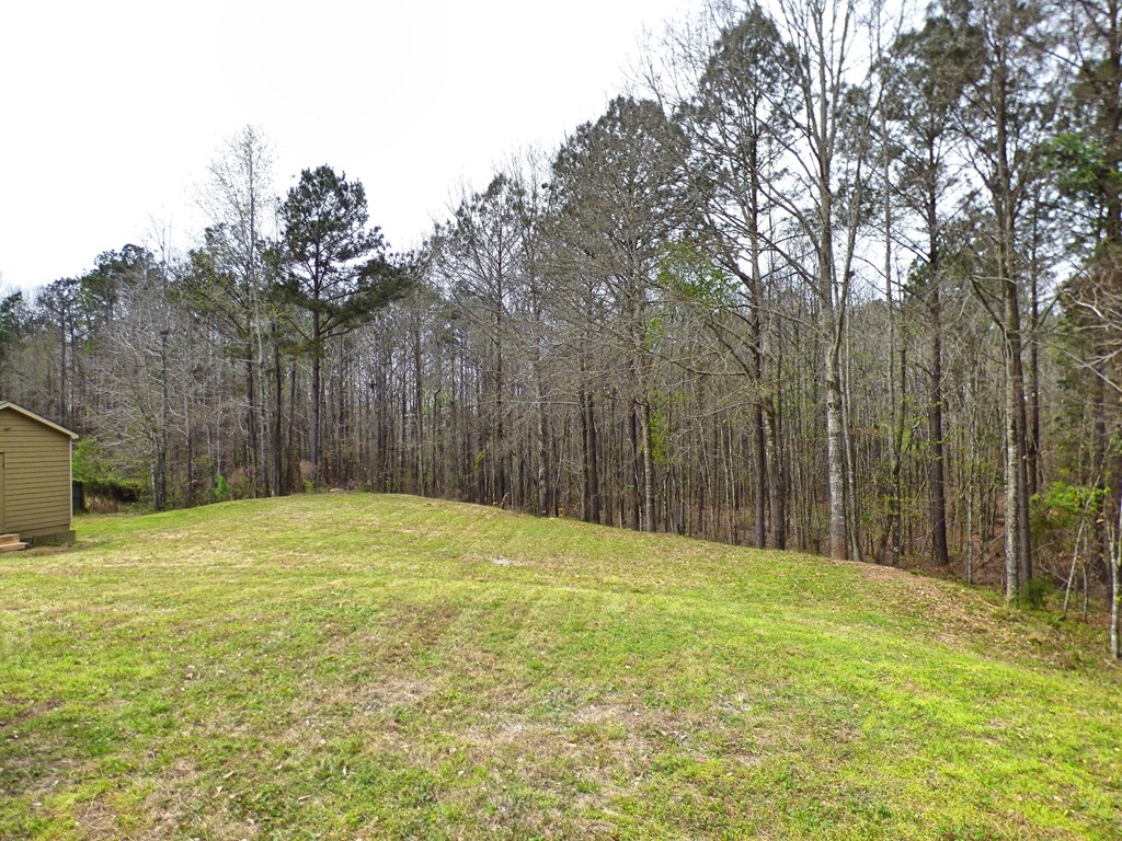 142 Lee Road 2110 Salem, AL 36874 - Photo 17 of 18 back yard