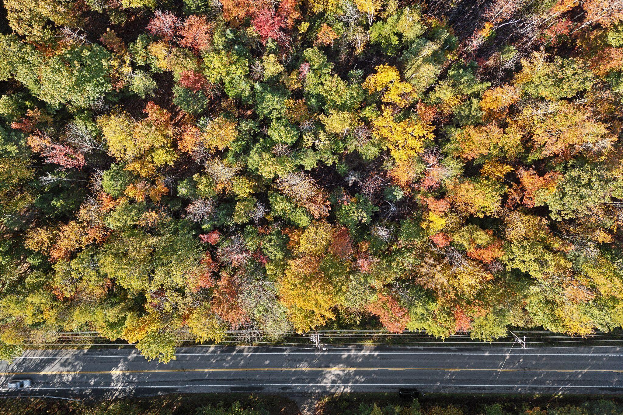 0 Me-27 Route Wiscasset, ME 04578 - Photo 4 of 8 6_DJI_20241008091212_0543_D