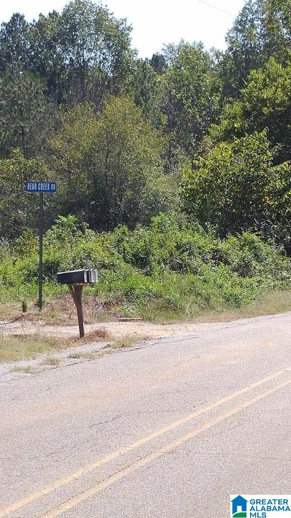 0 New Liberty Road, Unit 4 99 Jacksonville, AL 36265 - Photo 3 of 3